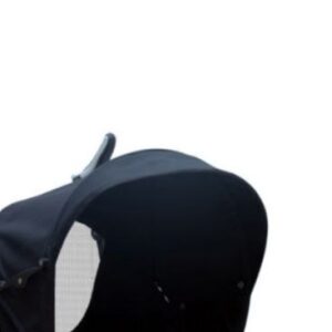 کالسکه عصایی دیبا